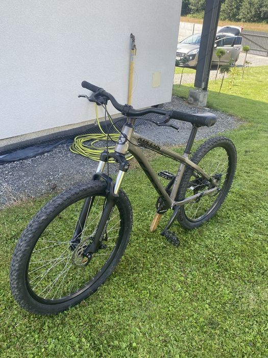 Kellys Whip 10