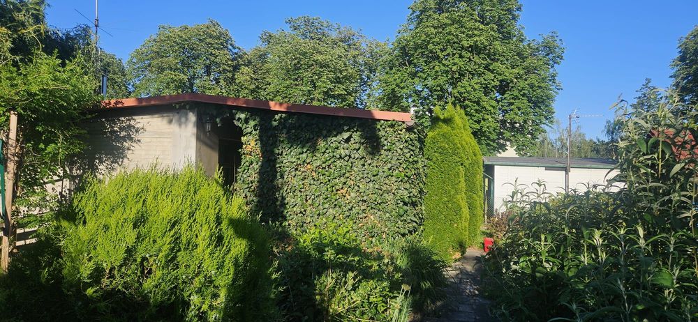 Działka ROD 300 m² Poznań, Głuszyna - ogrzewana altana, wędzarnia, media