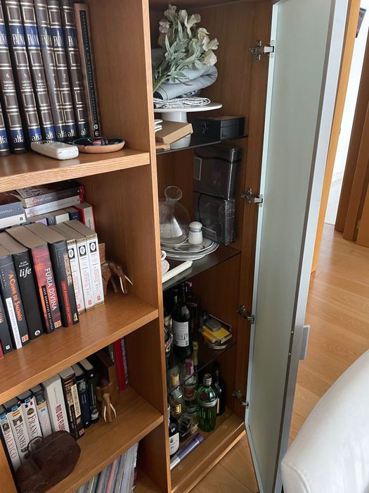 Armário de sala (estante e armário com porta)