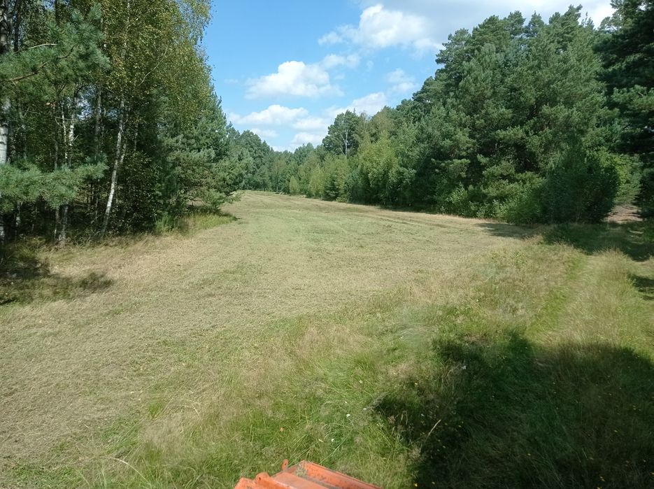 Mulczowanie koszenie łąk nieuzytków