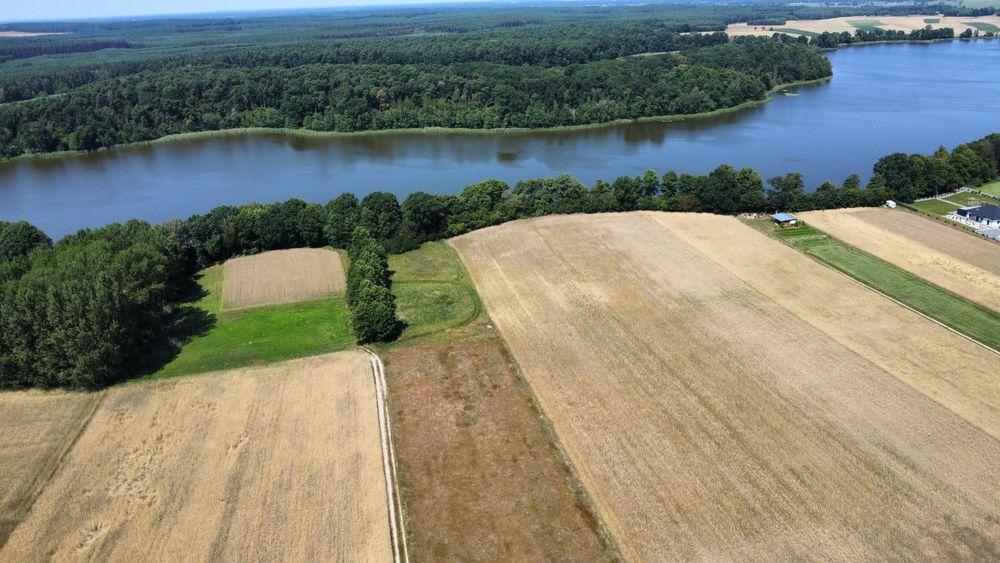 Działka Radomierz przy jeziorze Olejnickim. Pilne