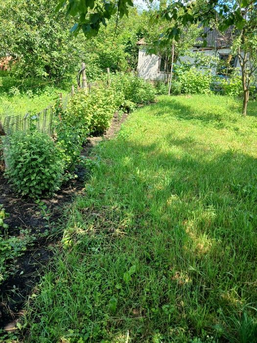 Продам дачу в селі Богданівка