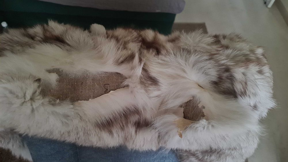 Kurtka z srebrnych lisów rozmiar 2XL