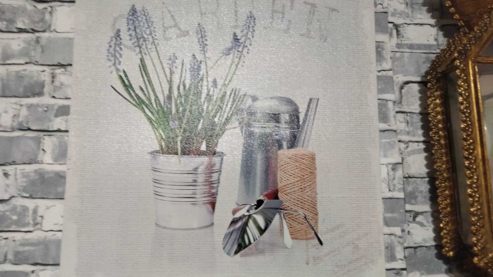 Telas de plantas e auculentas
