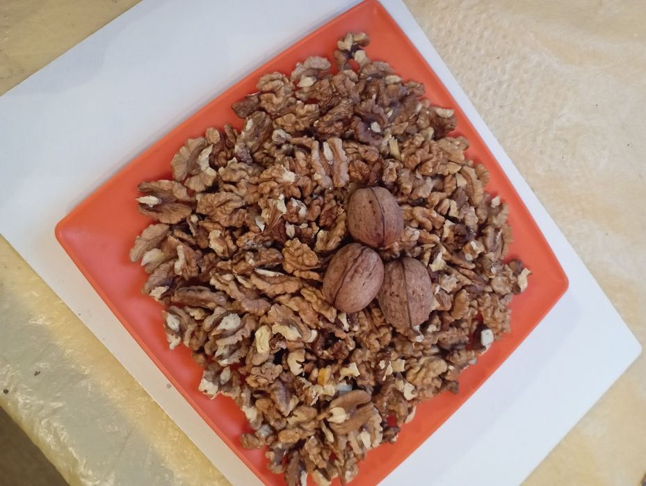 Горіх волоський(грецький)домашній.Урожай 2025!