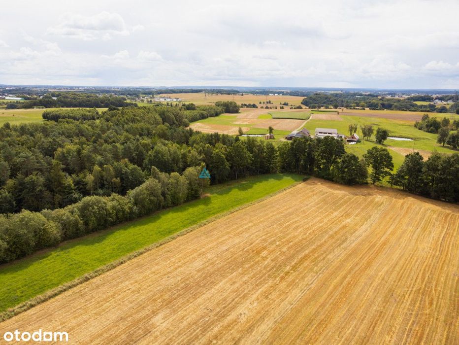 Wydane Warunki Zabudowy | Działka Czeczewo - Widok 2