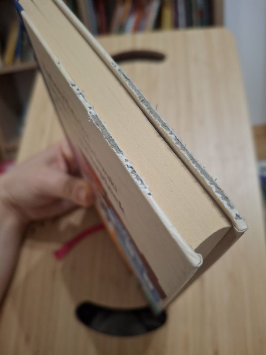 Generał Ciupinek Barbara Tylicka