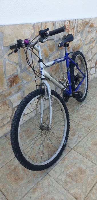 Bicicleta todo-o-terreno Bike Sport