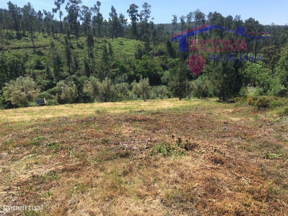 Terreno Rústico com uma área total de 22800m2. — Pedrógão Pequeno, Castelo Branco