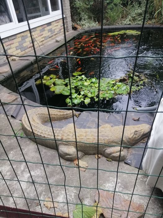 Продам, Шикарный Дом в Куриловке