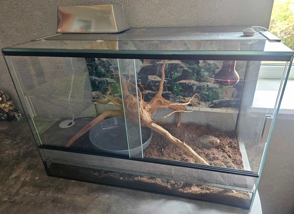 Тераріум в комплекті