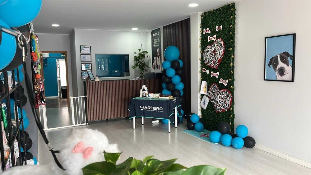 Trespasse Pet-Shop no centro de Gaia