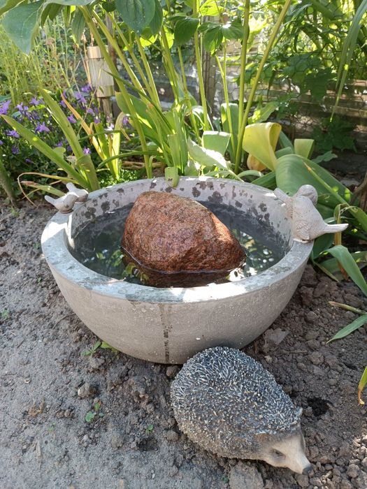 Poidełko dla ptaków i owadów - duże 33 cm