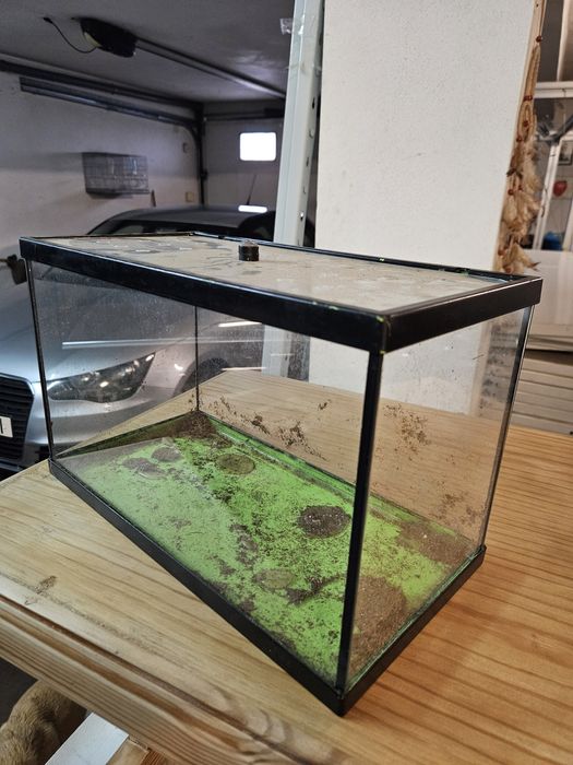 terrário para répteis