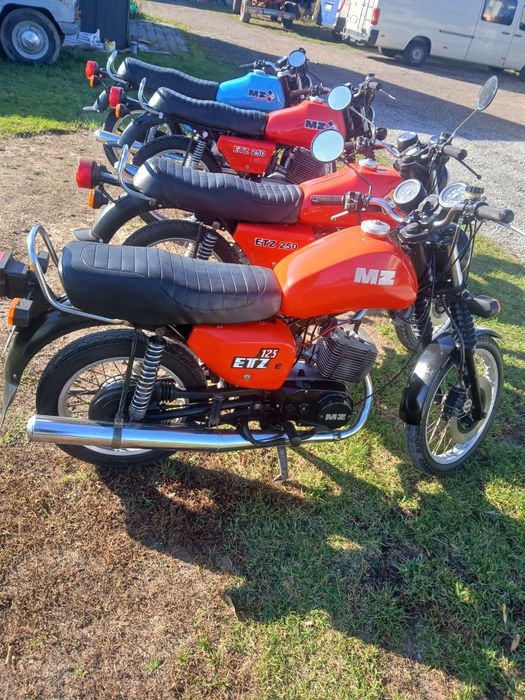 Mz