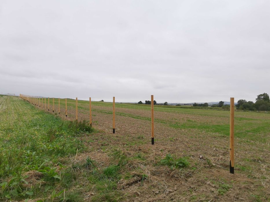 Ogrodzenia tymczasowe budowlane leśne Betonowe Słupki toczone