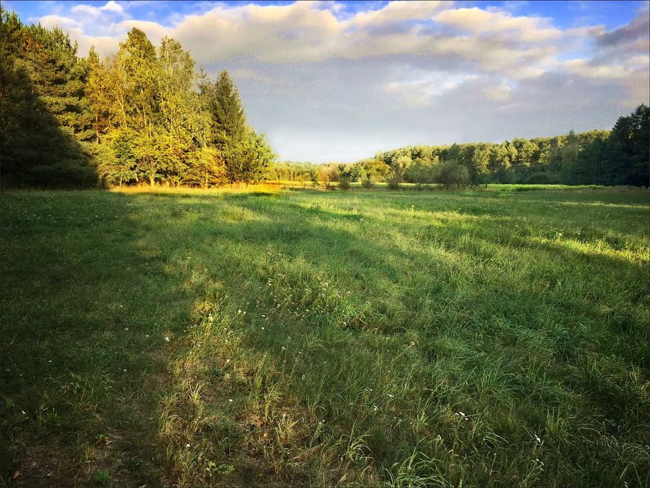 Działka siedliskowa w Skułach - Widok 4