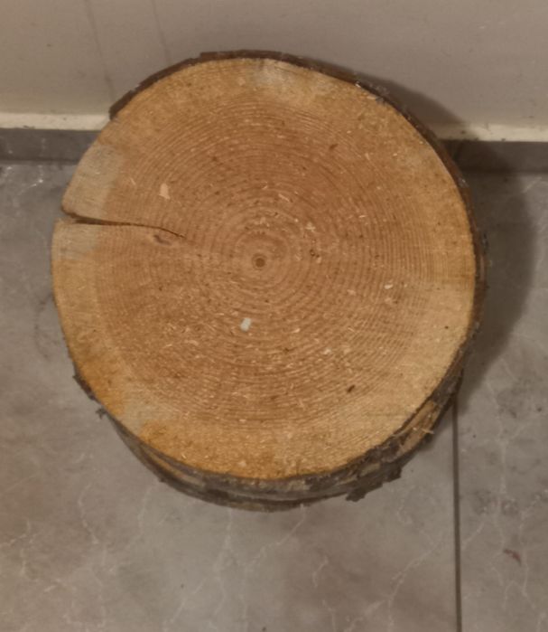 Krążki drewniane