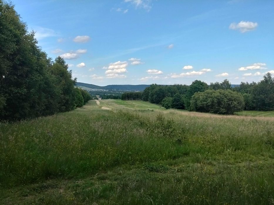 działka rolno  budowlana - Widok 3