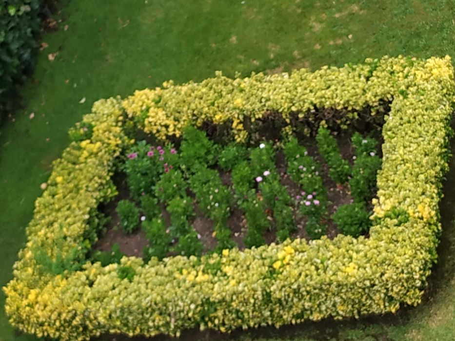 Jardinagem e manutenção