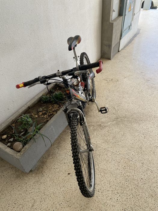 Bicicleta