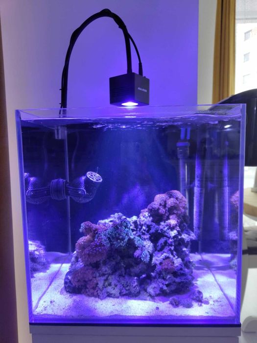 Kompletny zestaw akwarium morskie 64L (Szkło full optiwhite)