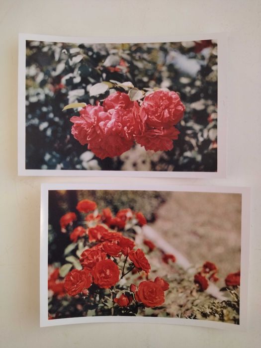 Фотоплівка, фотопленка Свема ЛН-9 для ломографії