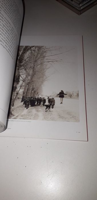 Retratos à la Minuta - José Miguel Amador