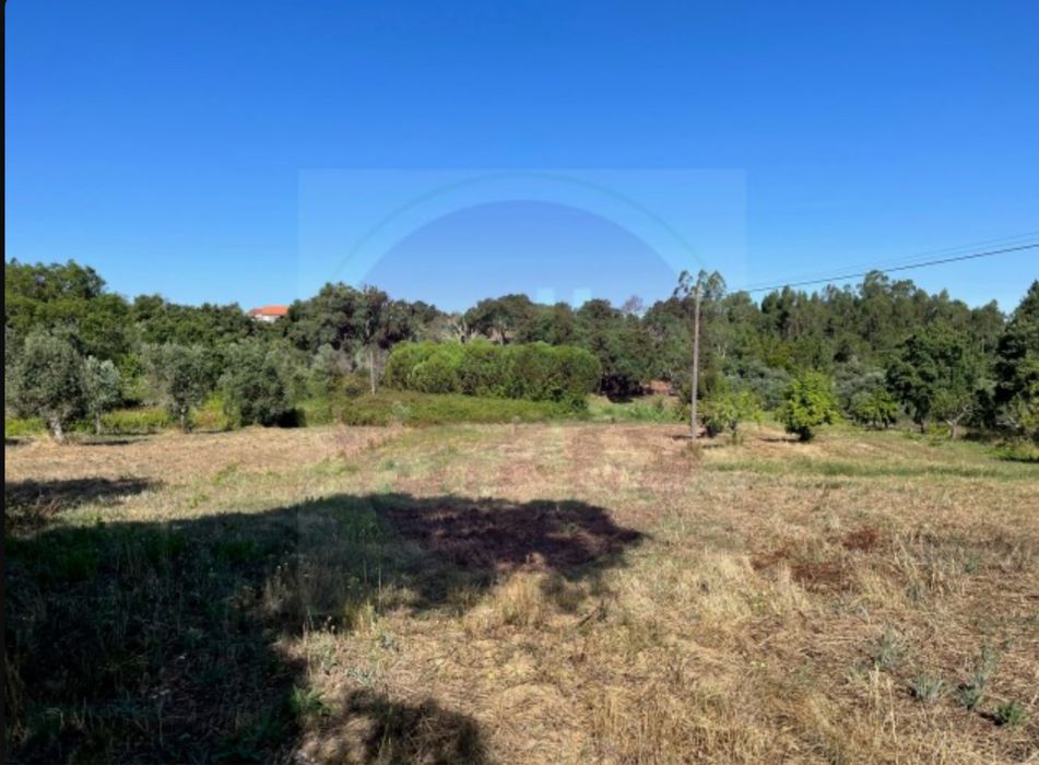 Terreno com vinha e pequeno imovel