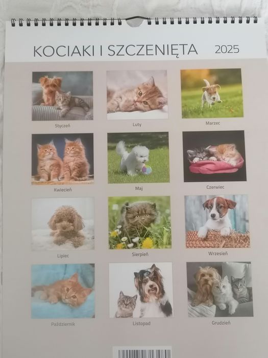 Kalendarz ścienny z kociakami i szczeniakami 2025  Bez śladów używania
