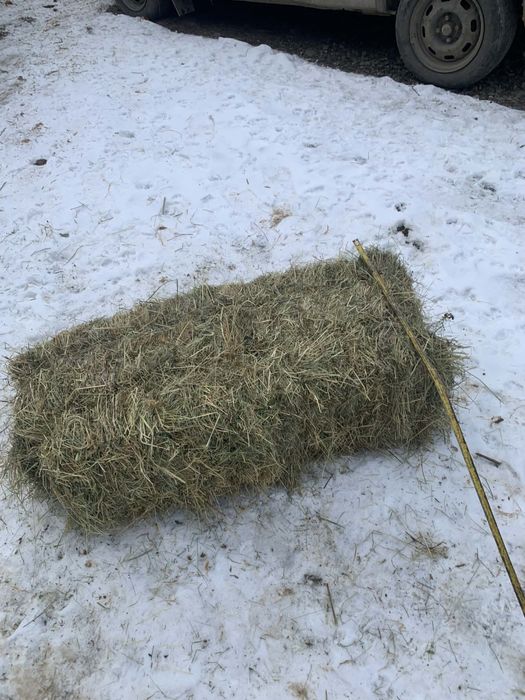 Сіно лугове/ тюк  / трава/ отава/різнотрав‘я