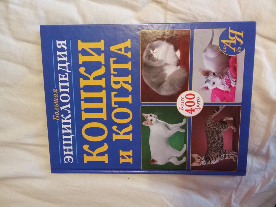 Книга большая энциклопедия кошки и котята от А до Я