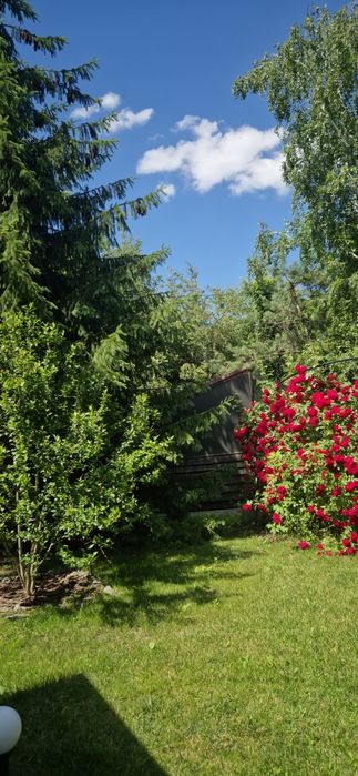 Продам будинок Стара слобода с. Орлівщина
