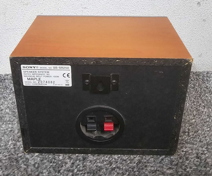 głośnik surround Sony SS-SR250. wysyłka