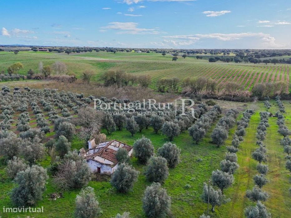 Propriedade com 1,5 ha e casa para recuperar no Alentejo