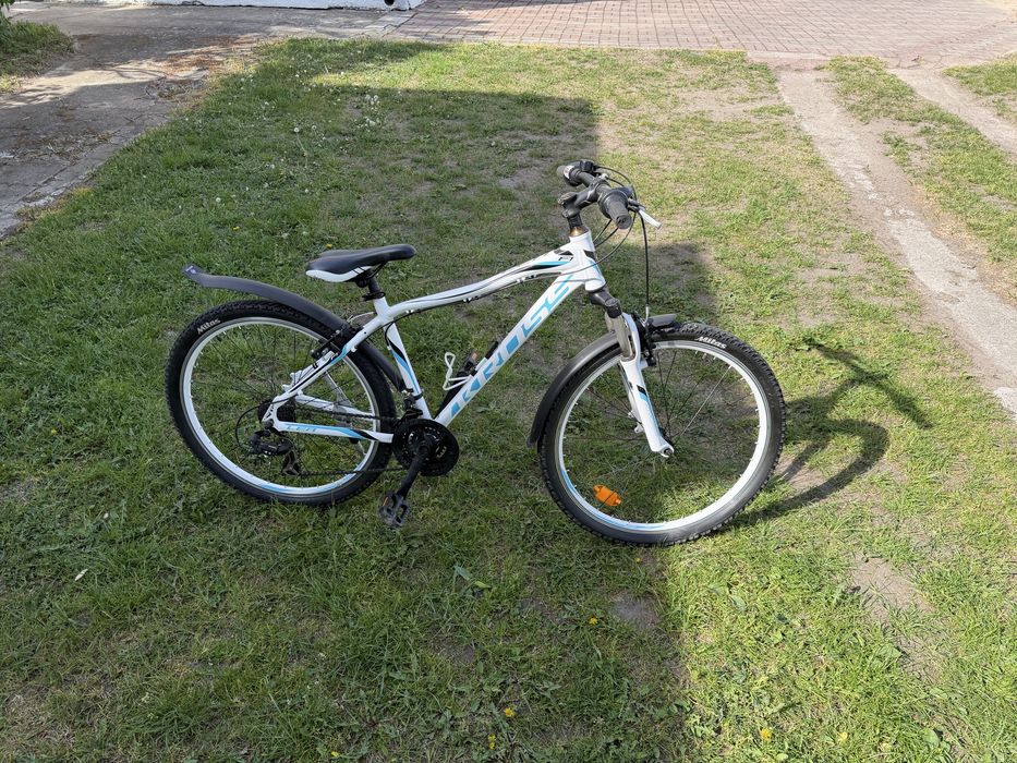 Rower Kross LEA F1