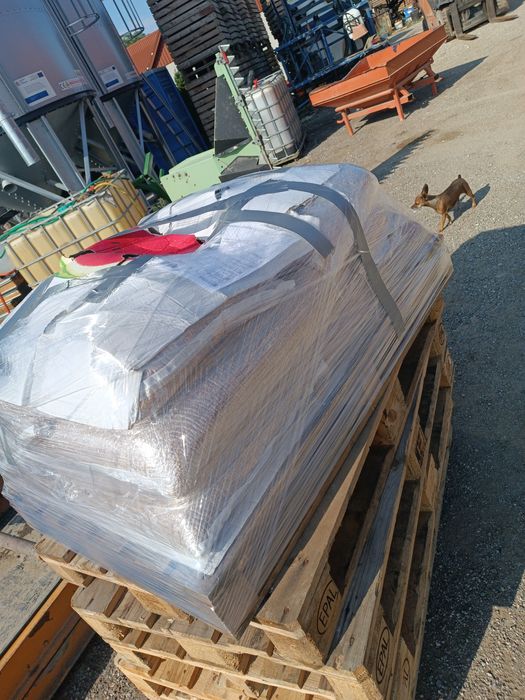 Pszenica jara/przewódka tybalt w b.dobrej klasie