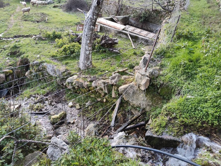 Quinta 3 Hectares Murganheira ( Tarouca )