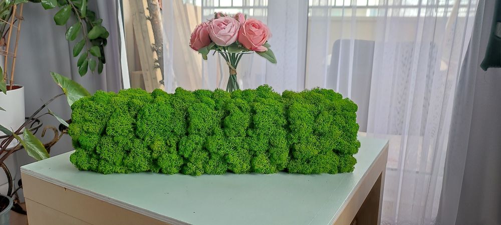 Mech chrobotek 50 cm drewno
