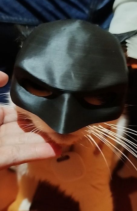 Máscara batman para gato - batcat