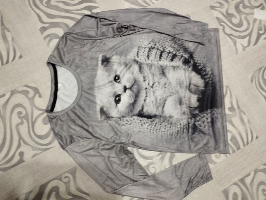 Худі, світшот, реглан