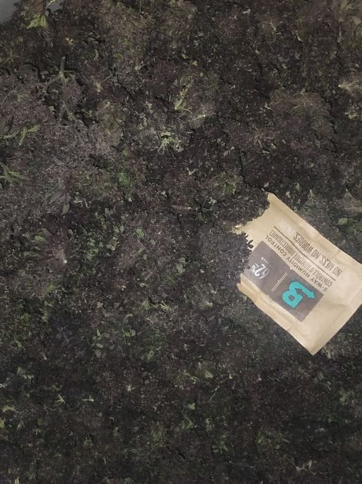 1000 gram 1 kg  Black Devil susz konopi CBD