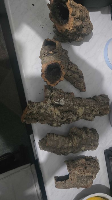 Tuby korkowe . Płaty korkowe