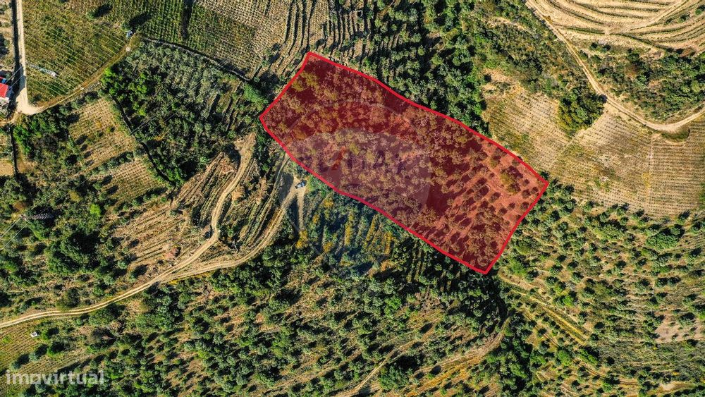 Terreno  para venda