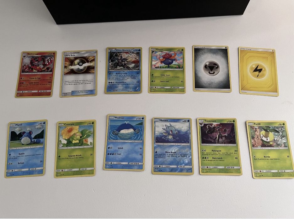Cartas Pokémon (12)