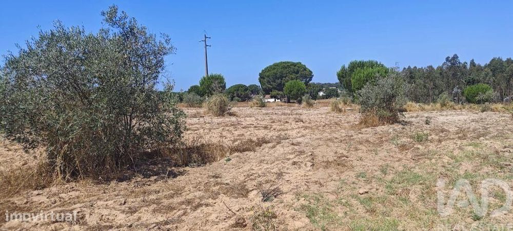 Terreno para construção em Branca de 7020,00 m2