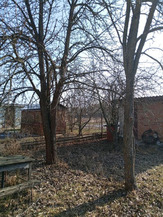 Продам дачу в Хвилівці Ніжинського району.