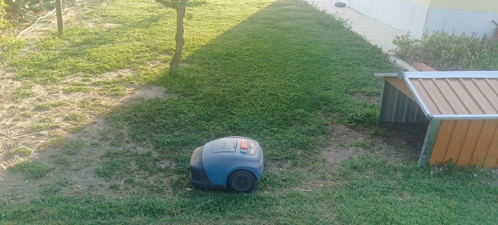 Robôs corta relva venha ver a trabalhar