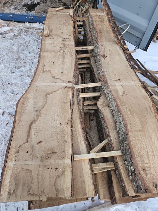 Deska debowa po suszarni 50mm