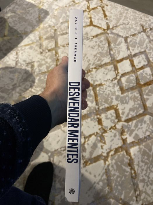 LIVRO DESVENDAR MENTES NOVO